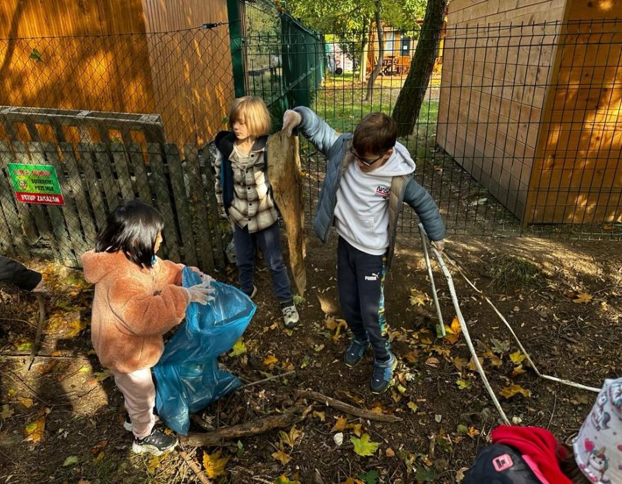 Clean the Forest