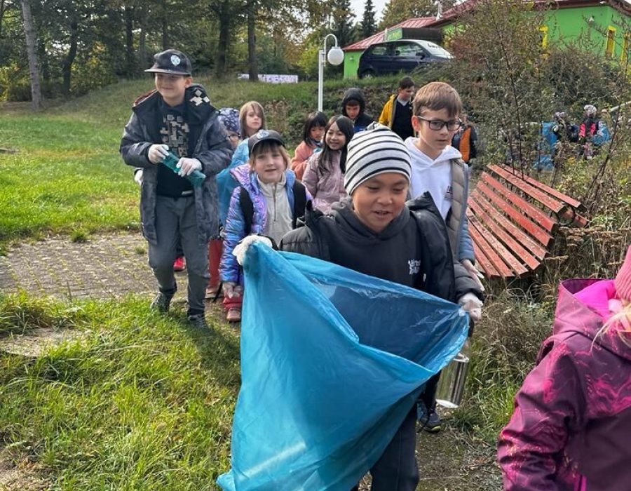 Clean the Forest