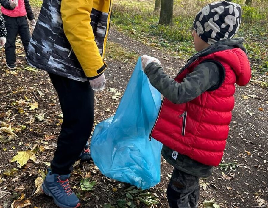 Clean the Forest