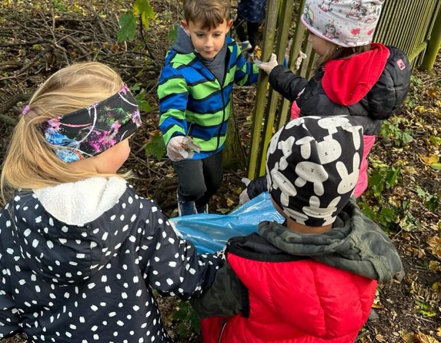Clean the Forest