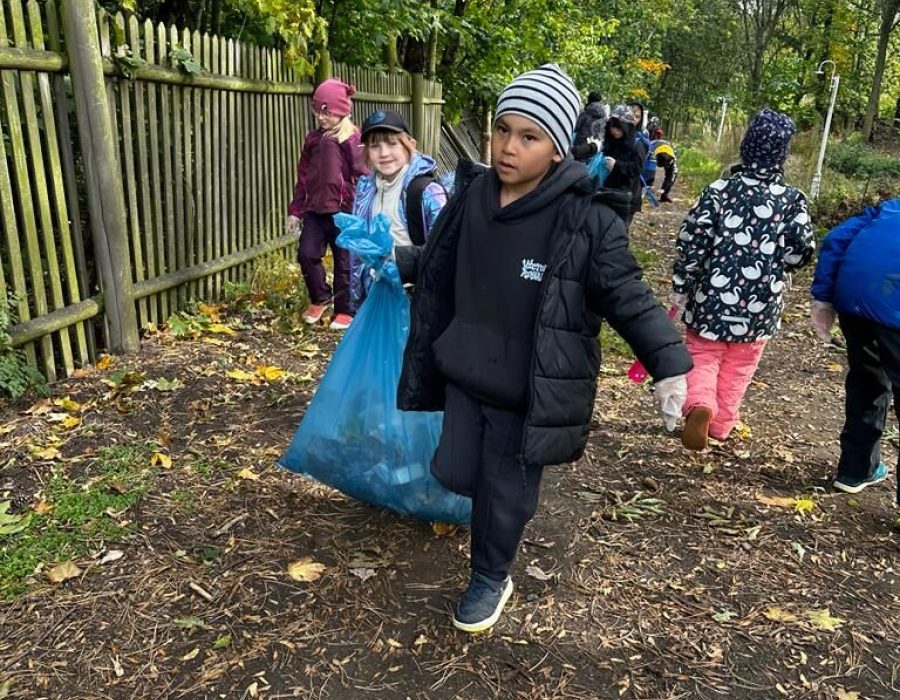 Clean the Forest