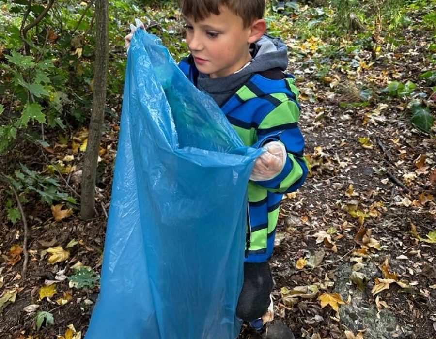 Clean the Forest