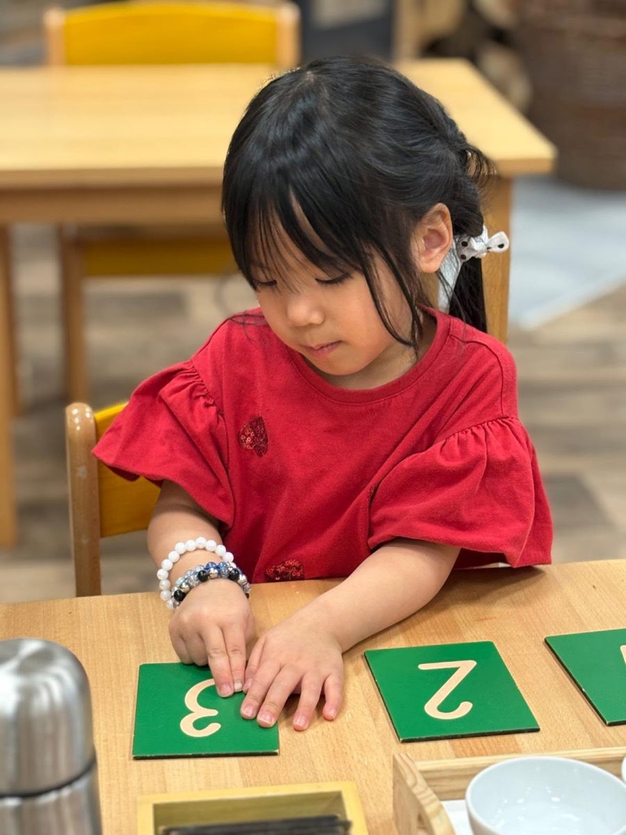 A girl slicing a cucumber – a practical life activity