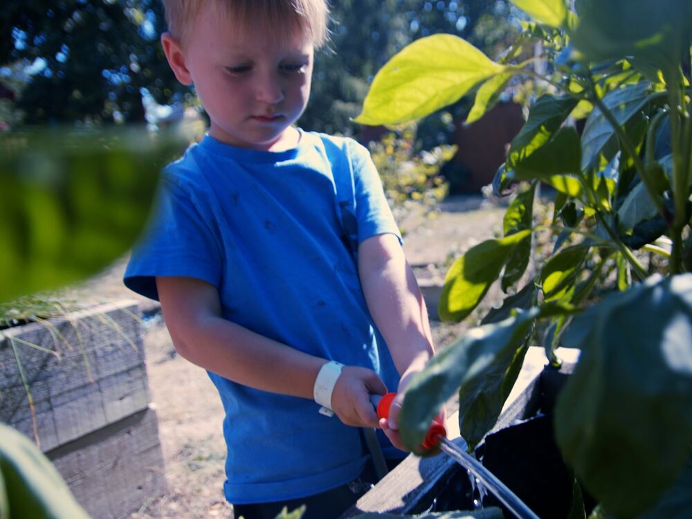 Watering plants in the school garden